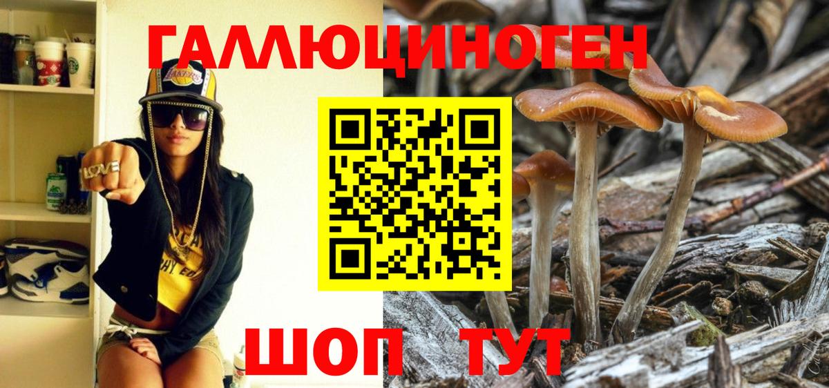 Углич  Галлюциногенные грибы ЛСД  Вход с VPN 